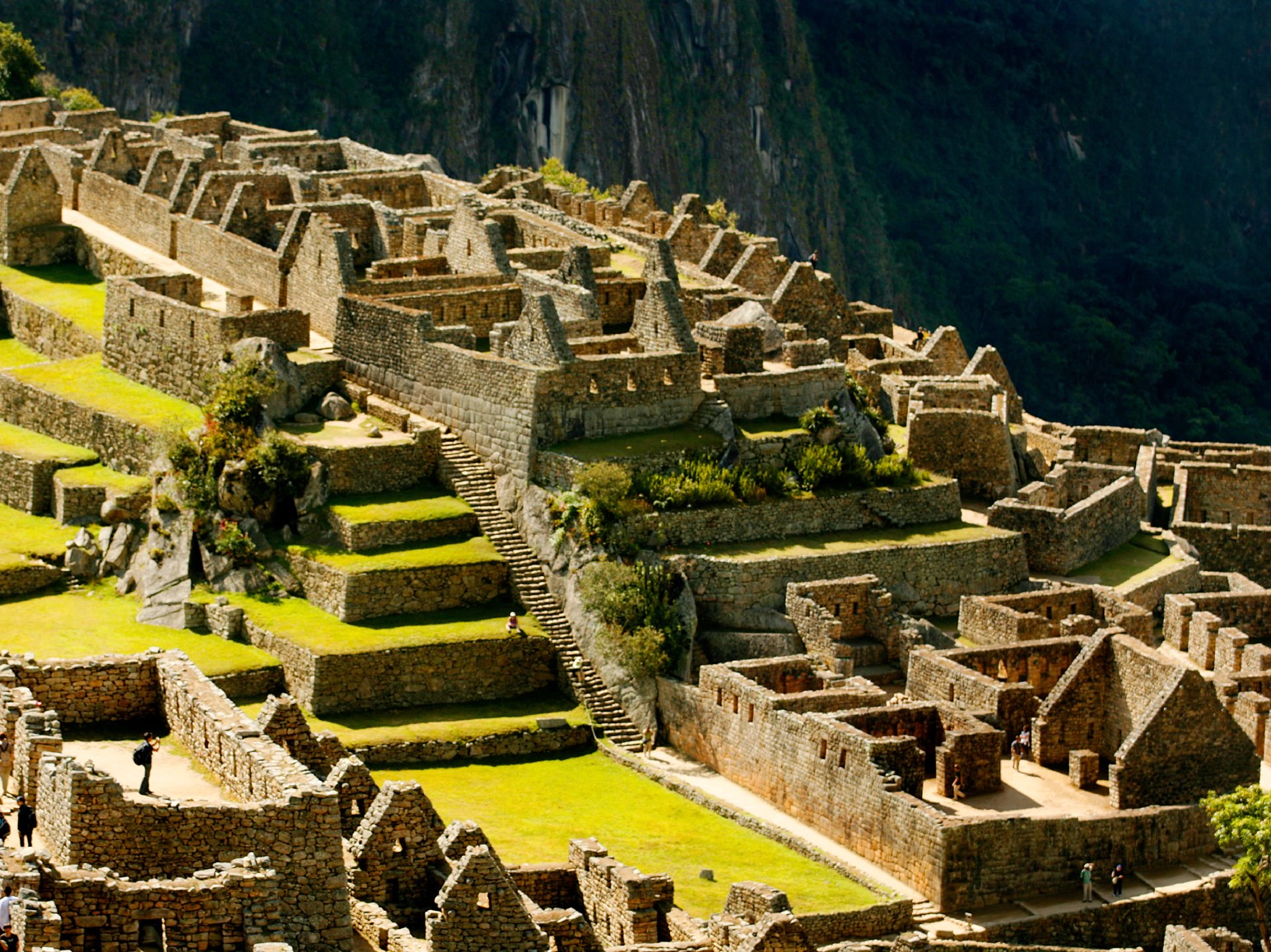 Details Machu Picchu